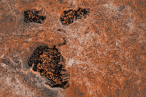 Frozen Ice Screaming Pebble Soil Face (Orange Tone Photo)