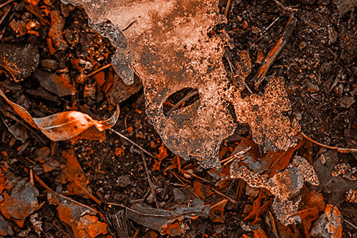 Half Melted Ice Face Atop Dead Leaves (Orange Tone Photo)