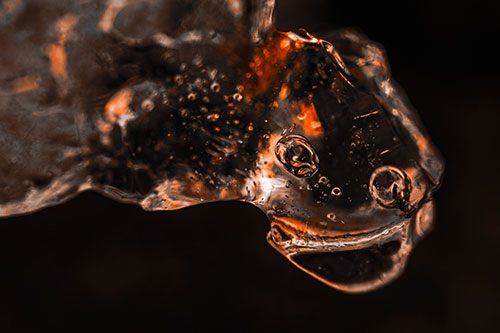 Joyful Frozen Bubble Eyed River Ice Face Creature (Orange Tone Photo)