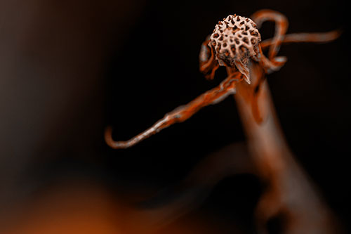 Kung Fu Gumplant Figure Punching Among Wind (Orange Tone)