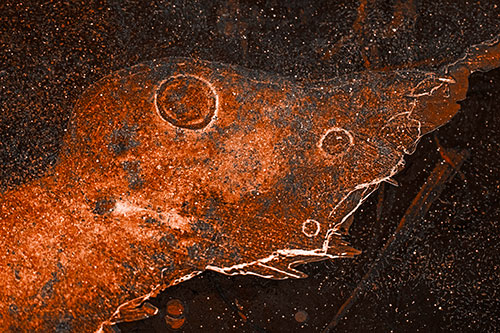 Large Headed Bubble Eyed Ice Face Frozen Among River (Orange Tone)