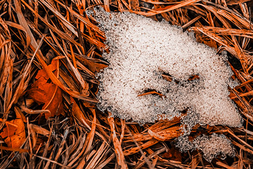 Miserable Slanted Grass Eyed Snow Face (Orange Tone)