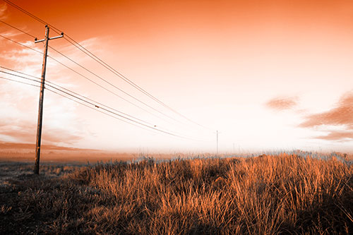 Powerlines Descend Among Foggy Prairie (Orange Tone Photo)