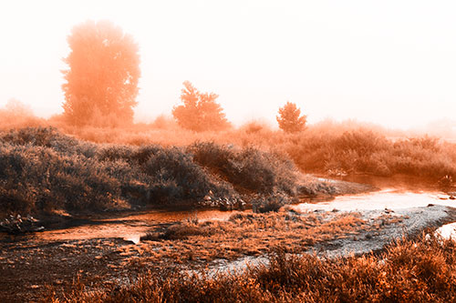 River Flowing Along Foggy Vegetation (Orange Tone Photo)