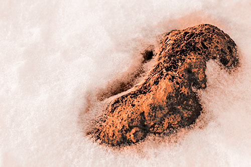 Rock Emerging From Melting Snow (Orange Tone Photo)