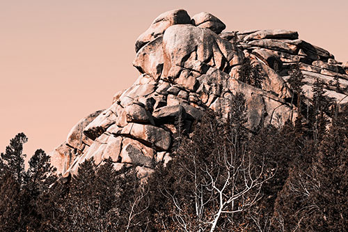 Rock Formations Rising Above Treeline (Orange Tone Photo)