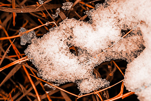 Sad Melting Grass Tangled Snow Face (Orange Tone)