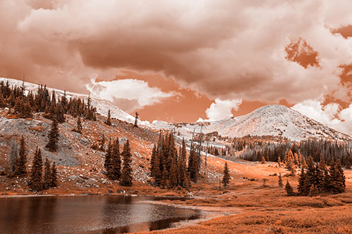 Scattered Trees Along Mountainside (Orange Tone)