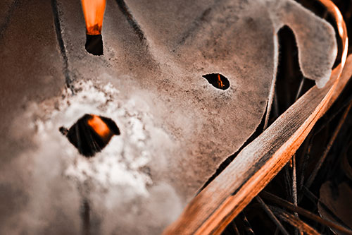 Shocked Peeling Grass Eyed Ice Face (Orange Tone Photo)