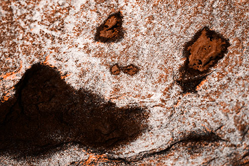 Shocked Puddle Face Drying Among Rock Surface (Orange Tone)