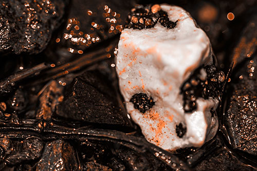 Slimy Extraterrestrial Alien Faced Rock Head (Orange Tone Photo)