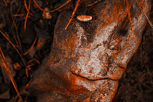 Smirking Battered Rock Face (Orange Tone)