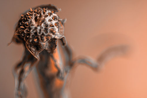Spiky Headed Gumplant Figure Pointing The Way (Orange Tone)