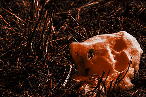 Sunlight Melting Dead Snow Face Head (Orange Tone Photo)