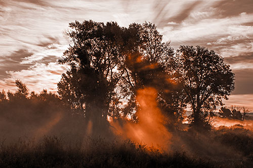 Sunlight Rays Burst Through Fog Surrounded Trees (Orange Tone Photo)