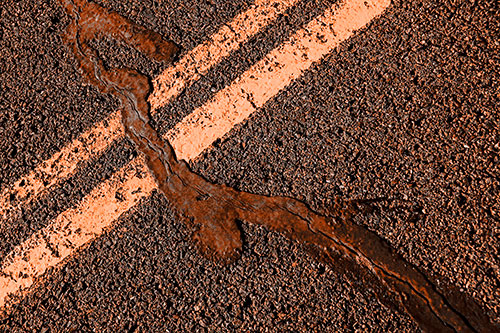 Tar Creeping Over Sidewalk Pavement Lane Marks (Orange Tone Photo)