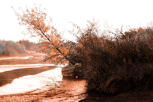 Tilted Fall Tree Over Flowing River (Orange Tone Photo)