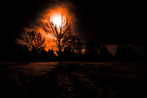Tree Silhouette Holds Sun Among Darkness (Orange Tone Photo)