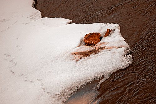 Tree Stump Eyed Snow Face Creature Along River Shoreline (Orange Tone Photo)