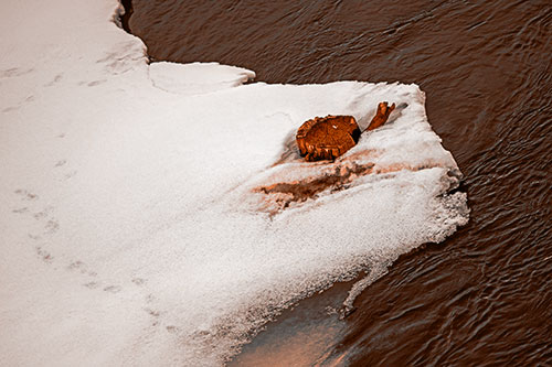 Tree Stump Eyed Snow Face Creature Along River Shoreline (Orange Tone)