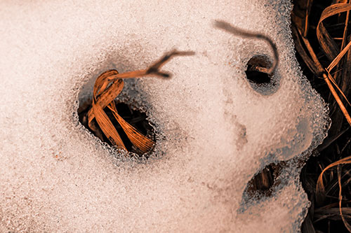 Twisting Grass Eyed Snow Face (Orange Tone)