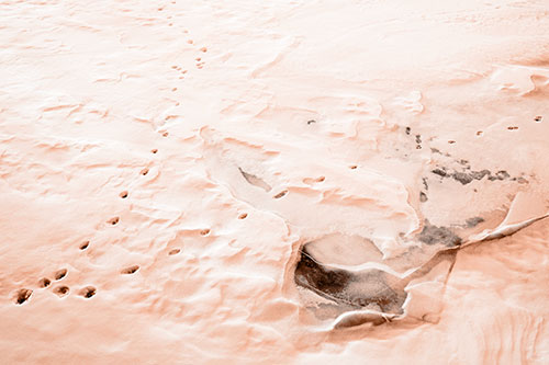 V Shaped Footprint Path Across Frozen Snow Covered River (Orange Tone Photo)