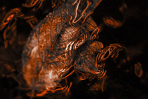 Water Ripple Faced Leaf In Submerged Trance (Orange Tone)