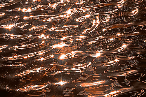 Water Ripples Sparkling Among Sunlight (Orange Tone Photo)