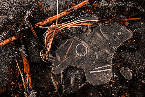 Wide Eyed Bubble Ice Face Looking Downward (Orange Tone)