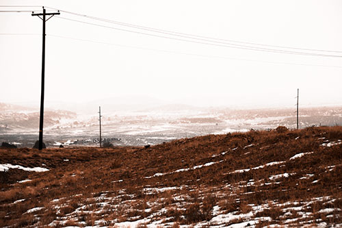 Winter Snowstorm Approaching Powerlines (Orange Tone Photo)