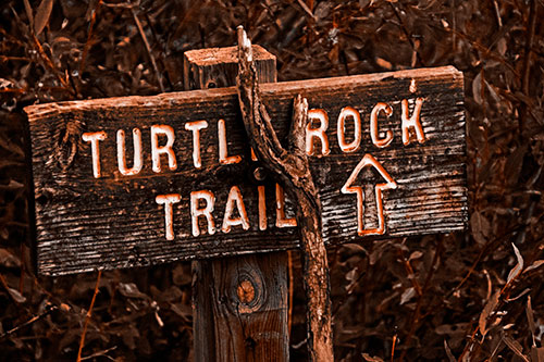 Wooden Turtle Rock Trail Sign (Orange Tone Photo)