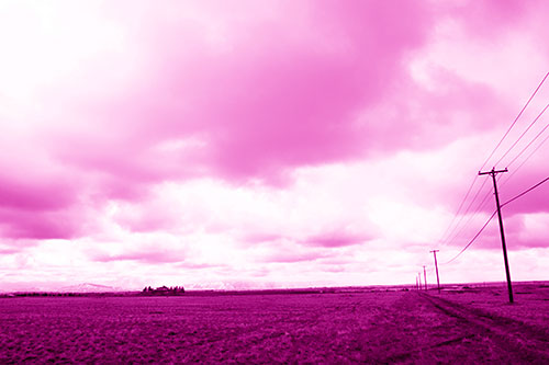 Bleak Clouded Sky Consumes Powerline Prairie (Pink Shade Photo)