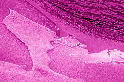 Broken Cracked Ice Along Shoreline (Pink Shade)