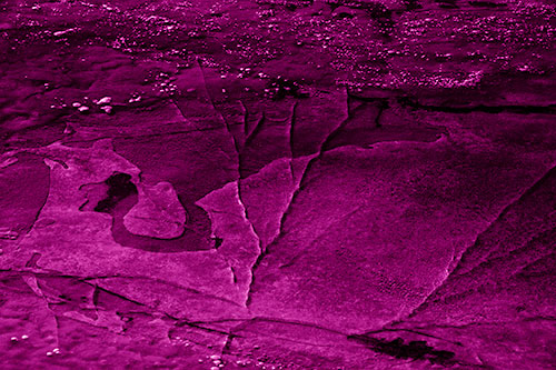 Bubble Cracking River Ice (Pink Shade Photo)