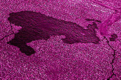 Bunny Rabbit Pavement Puddle Figure Formation (Pink Shade)