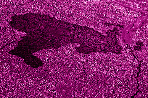 Bunny Rabbit Puddle Figure Formation (Pink Shade Photo)