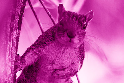 Chest Holding Squirrel Leans Against Tree (Pink Shade Photo)