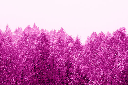 Christmas Snow Blanketing Trees (Pink Shade Photo)