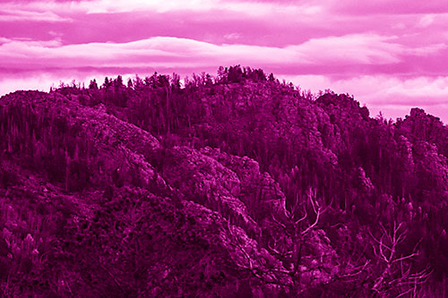 Cloudy Summit Trailhead Mountain Top (Pink Shade Photo)