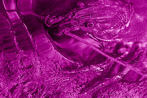 Crayfish Swims Against Rippling Water (Pink Shade Photo)