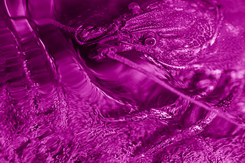 Crayfish Swims Against Rippling Water (Pink Shade)
