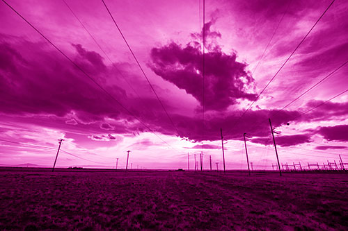 Creature Cloud Formation Above Powerlines (Pink Shade Photo)