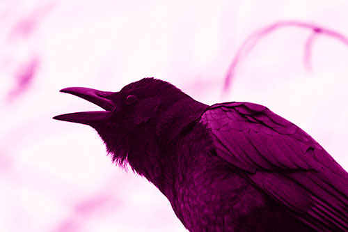 Crow Cawing Into Fog Filled Sky (Pink Shade Photo)