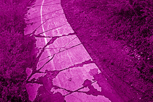 Curving Muddy Concrete Cracked Sidewalk (Pink Shade Photo)
