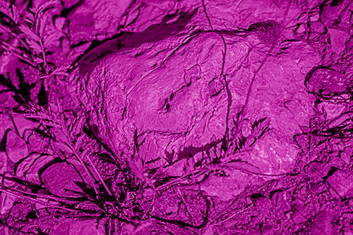 Demonic Leaf Mouthed Rock Face Snarling Among Dirt (Pink Shade)