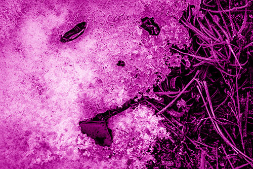 Depressed Snow Face Frowning Among Grass (Pink Shade)