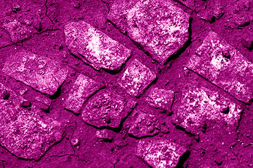 Dirt Covered Stepping Stones (Pink Shade Photo)