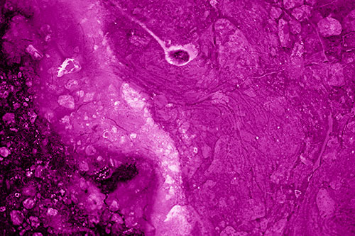 Distressed Oil Face Swirling Among Rocky Shore (Pink Shade)