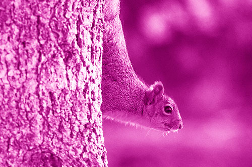 Downward Squirrel Yoga Tree Trunk (Pink Shade Photo)