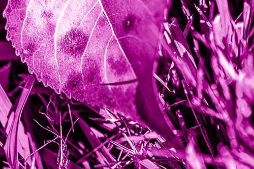 Eye Winking Shadow Smirking Leaf Face (Pink Shade)